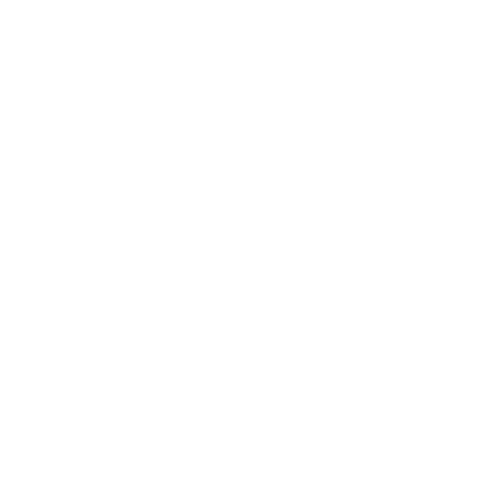 ADY Nexuss